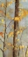 Picture of GOLDEN BRANCHES II 