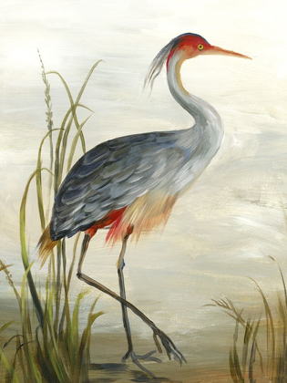 Picture of GREY HERON