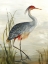 Picture of GREY HERON