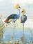 Picture of HERON PAIRING