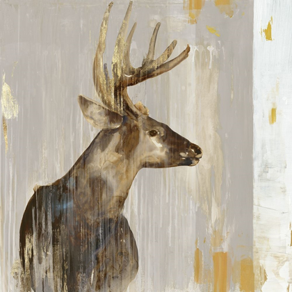 Picture of STAG II