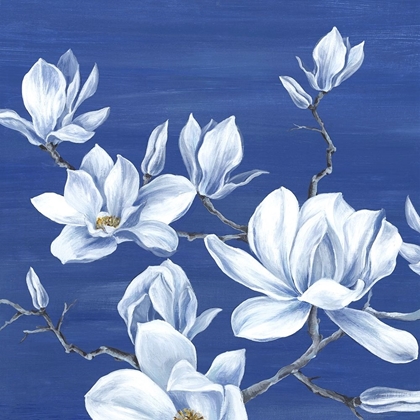 Picture of BLOOMING MAGNOLIAS I 