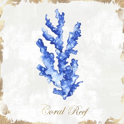 Picture of BLUE SEA CORAL 
