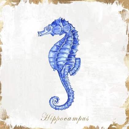 Picture of BLUE SEA HORSE