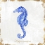 Picture of BLUE SEA HORSE