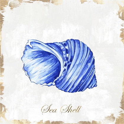 Picture of BLUE SEASHELL