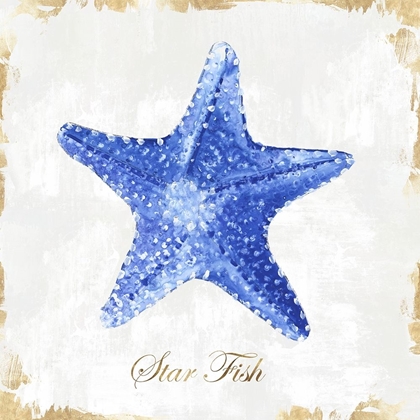 Picture of BLUE STARFISH 