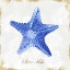 Picture of BLUE STARFISH 