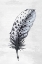 Picture of INDIGO FEATHER II