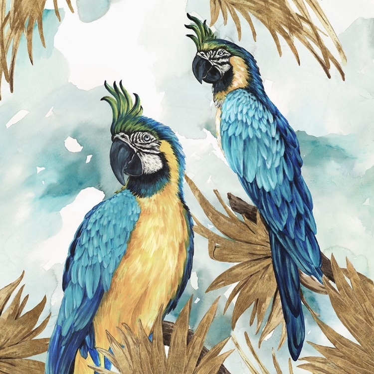 Picture of GOLDEN PARROTS