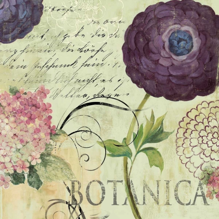 Picture of BOTANICA