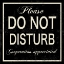 Picture of DO NOT DISTURB