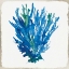 Picture of BLUE CORAL III