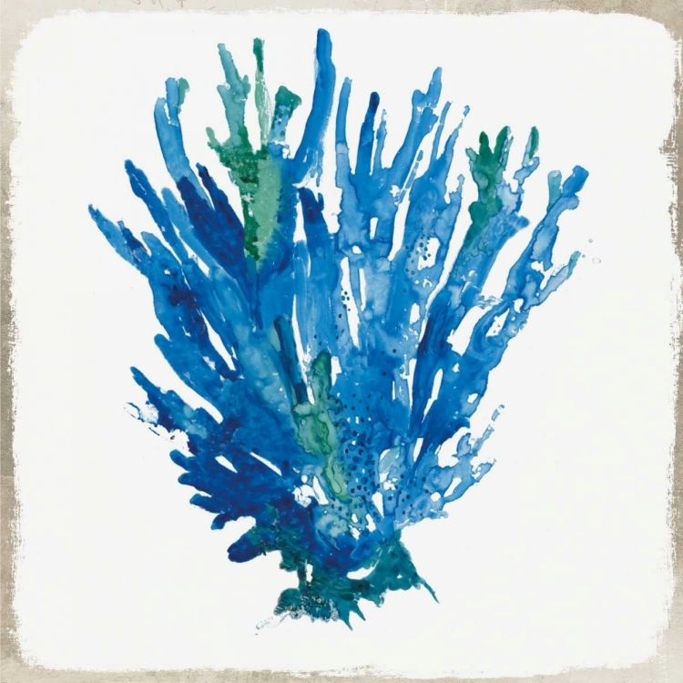 Picture of BLUE CORAL III