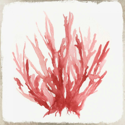 Picture of RED CORAL I
