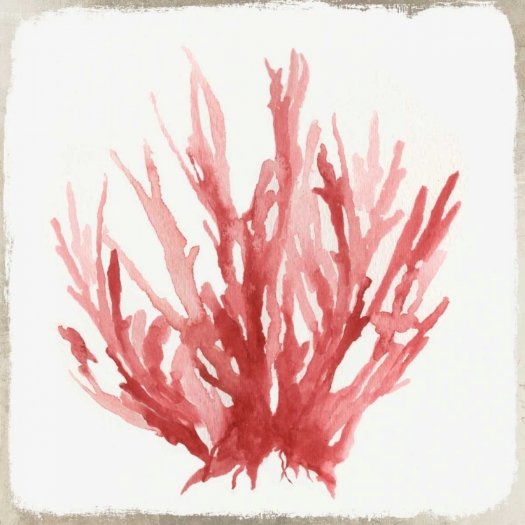 Picture of RED CORAL I