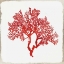 Picture of RED CORAL II