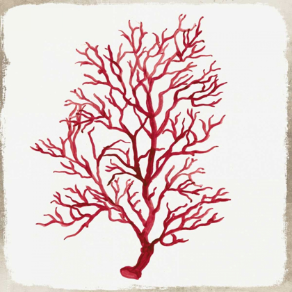 Picture of RED CORAL III