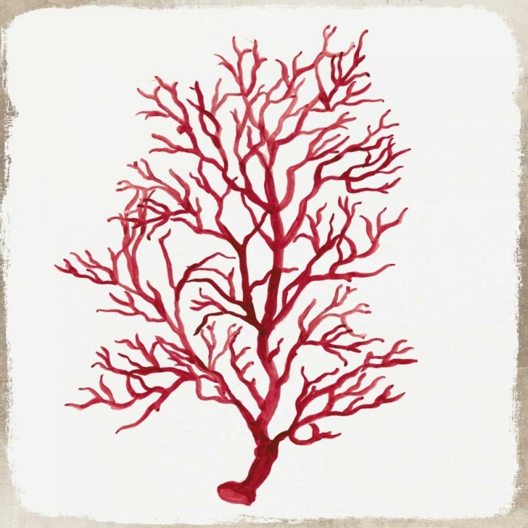 Picture of RED CORAL III