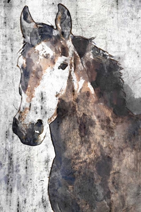 Picture of HORSE PORTRAIT II