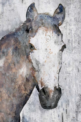 Picture of HORSE PORTRAIT I