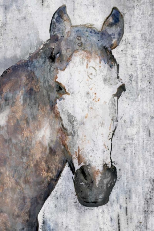 Picture of HORSE PORTRAIT I