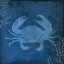 Picture of NAVY SEA CRAB