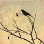 Picture of PERCHED