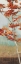 Picture of MAPLE TREE I