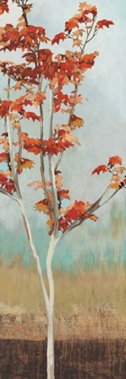 Picture of MAPLE TREE II