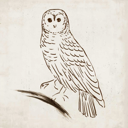 Picture of OWL I