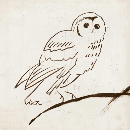 Picture of OWL II