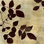 Picture of LEAF STUDY