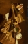 Picture of DYNAMIC III