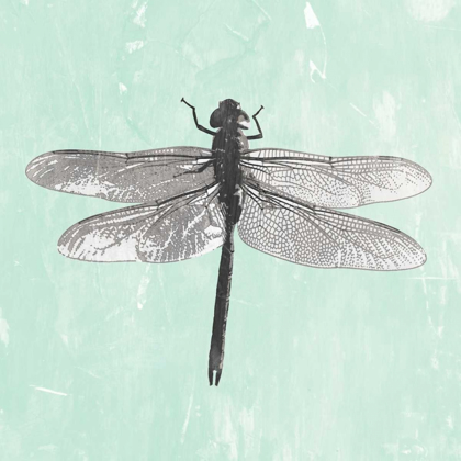 Picture of DRAGONFLY II