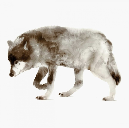 Picture of WOLF