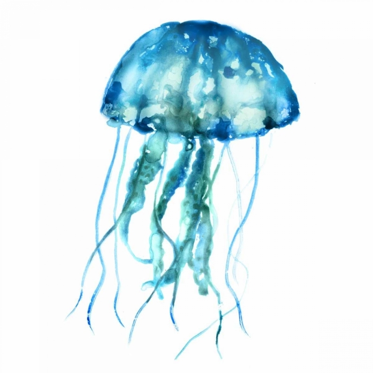 Picture of JELLYFISH