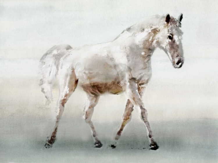 Picture of WHITE HORSE