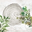 Picture of ECO III