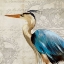 Picture of HERON II