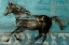 Picture of SPIRIT