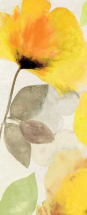 Picture of HAPPY FLORALS I - MINI