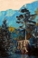 Picture of PINE ON BLUE