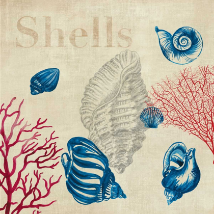 Picture of SHELL STUDY