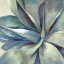 Picture of SUCCULENCE II - MINI