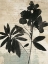 Picture of INKY FLORAL II