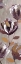 Picture of CAMEROON FLORAL I