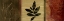 Picture of LEAF IMPRESSIONS II