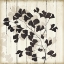 Picture of SHADOW ON WOOD I
