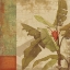 Picture of PLANTA